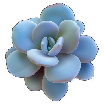 3D-Wooden-Toys-Mysterious-Foliage-Shape-Colorful-Wooden-Jigsaw-Puzzles-Board-Game-For-Adults-Kids-Puzzle.jpg_640x640_717024a5-c7a5-4136-82be-c138826ae08a