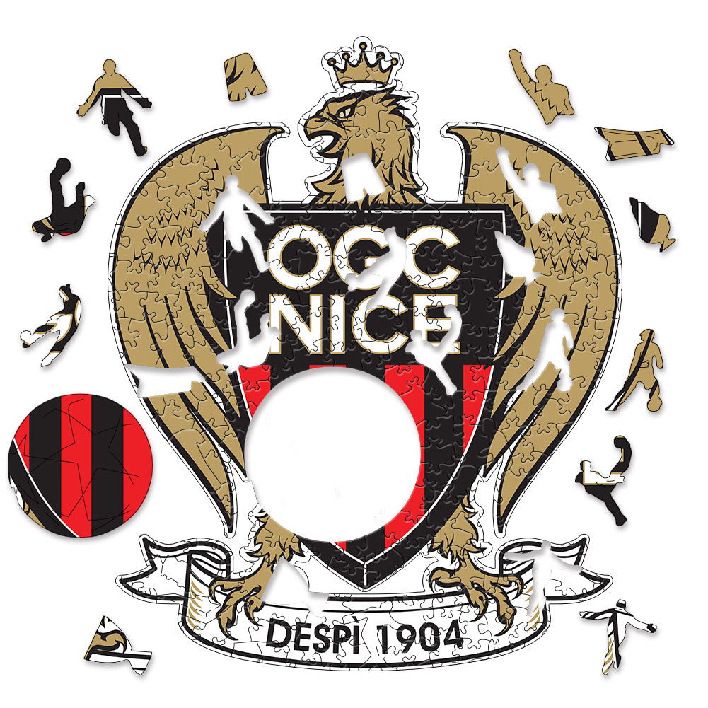 OGC Nice 3D Wood Jigsaw Puzzle