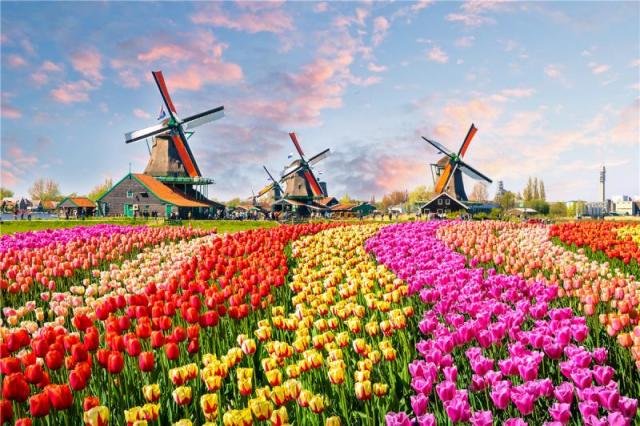 Landscape-Oil-Paintings-Puzzles-Adult-500-Pieces-Jigsaw-High-Difficulty-Puzzles-Cute-Animal-Children-s-Educational.jpg_640x640_4333d50e-df5f-4770-b607-c672ccb7a636