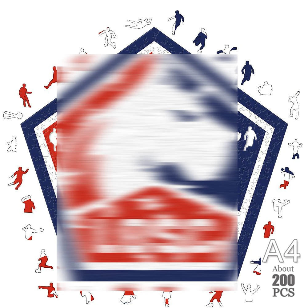 LOSC Lille 3D Wood Jigsaw Puzzle