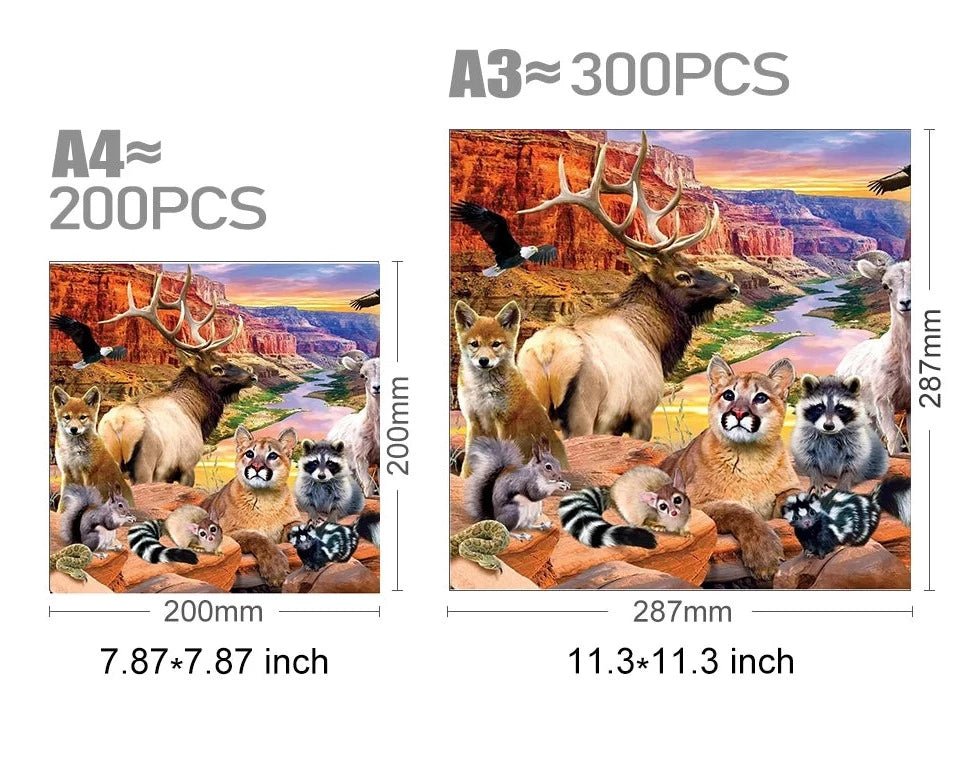 Sa9d0243d6811488fa5794ea0a77dc401N