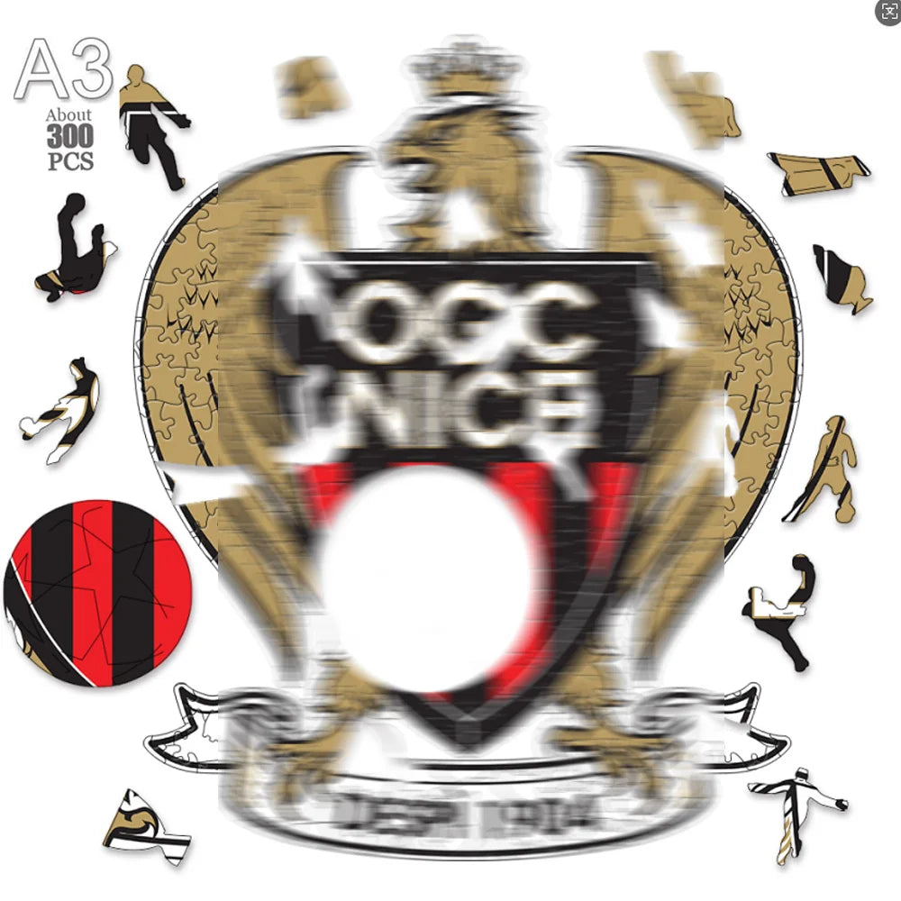 OGC Nice 3D Wood Jigsaw Puzzle