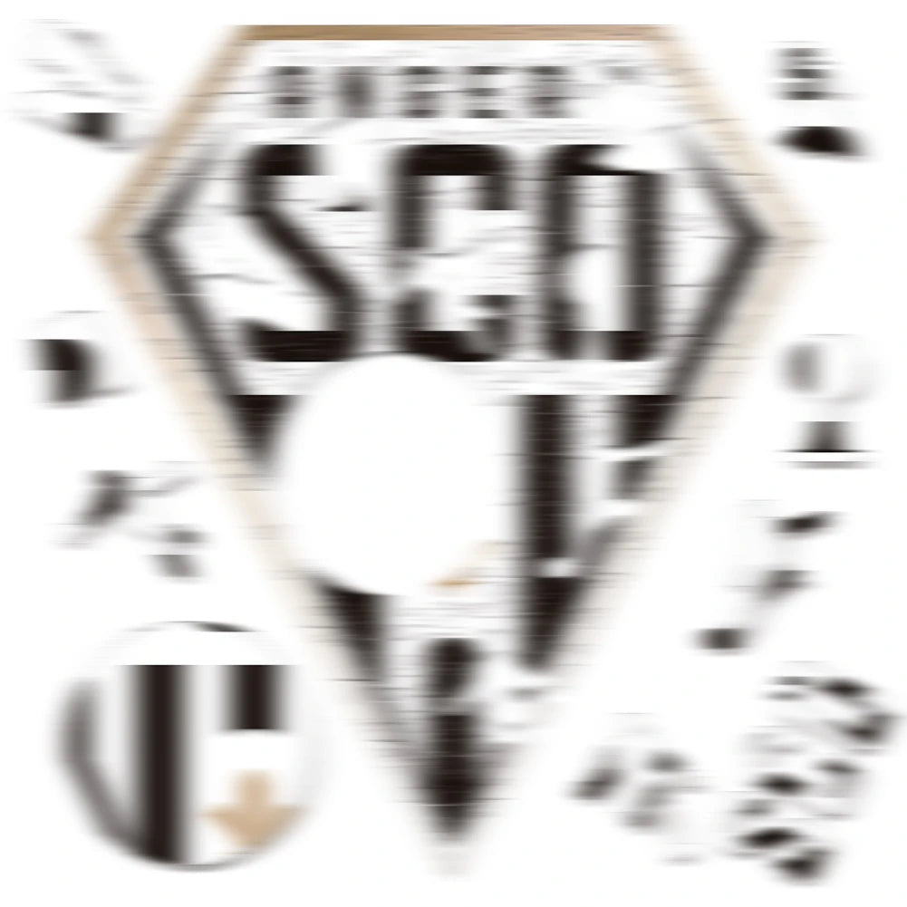 Angers SCO 3D Wood Jigsaw Puzzle