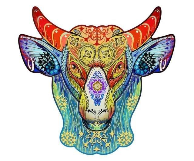 product-image-1775547501