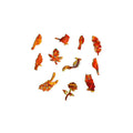 product-image-1995327229