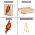product-image-1995327234